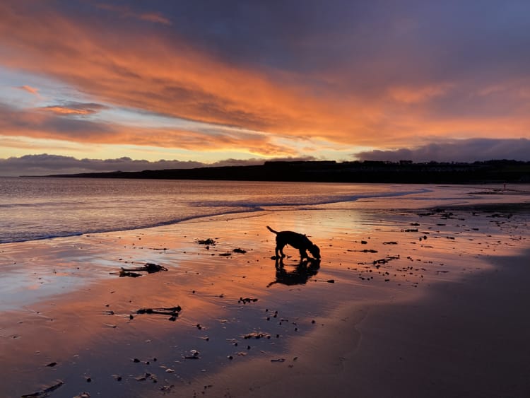 Hope for 2021 - School photo competition
